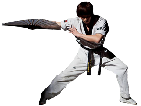 taekwondo kick 2